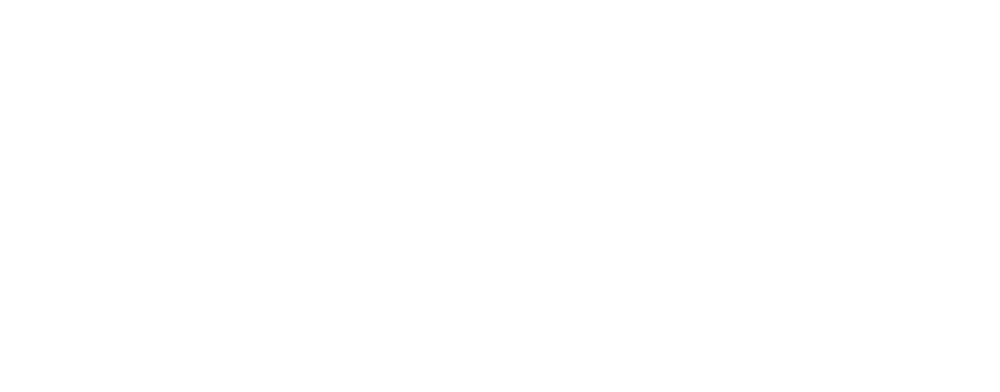 Blue Ridge Bus Sales, Inc. logo